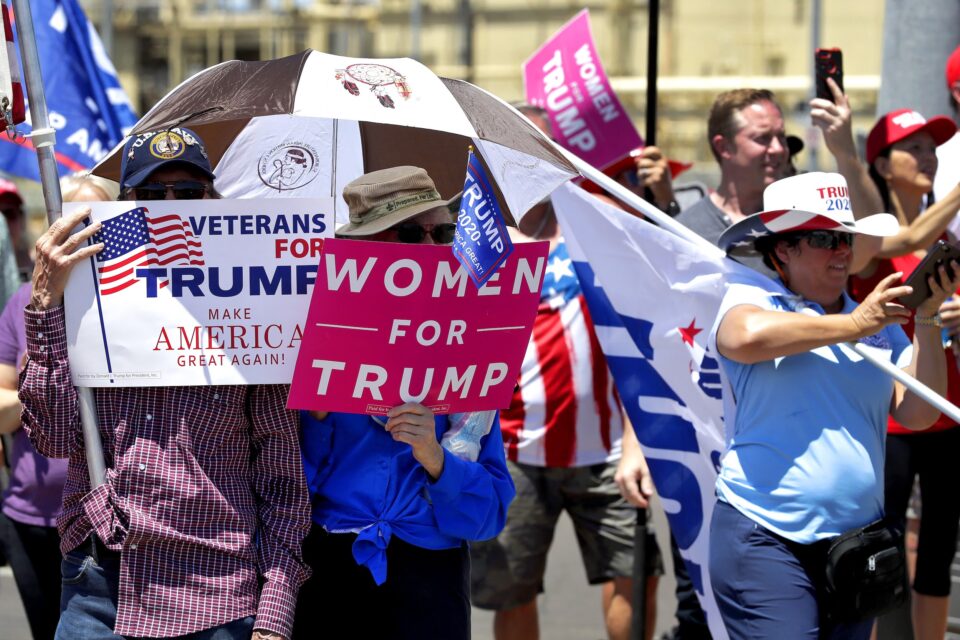 Trump's Protesters